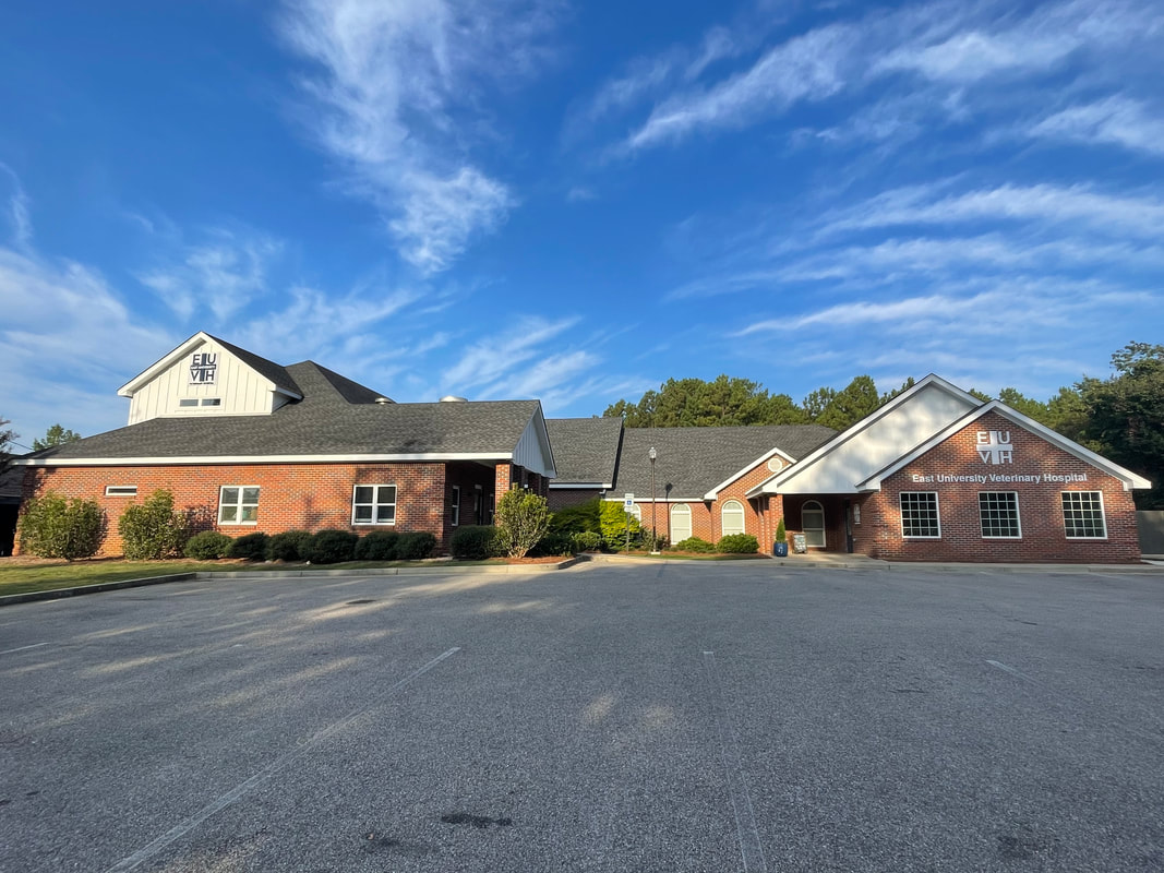 East University Veterinary Hospital building exterior